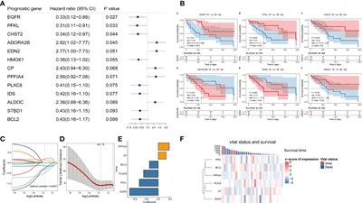 Development and Validation of a 6-Gene Hypoxia-Related Prognostic Signature For Cholangiocarcinoma